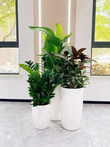 宁波奉化绿化养护哪家佳？全方位对比来了！